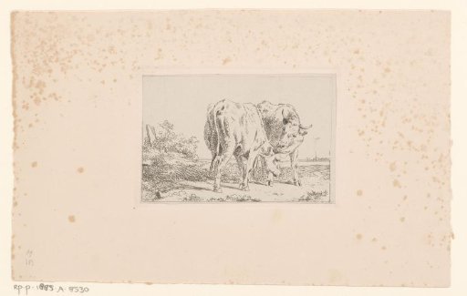 Landscape with two cattle