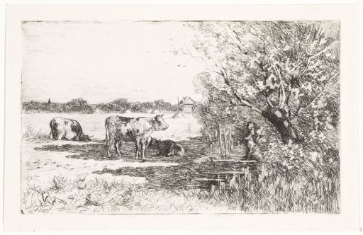 Cows in a meadow