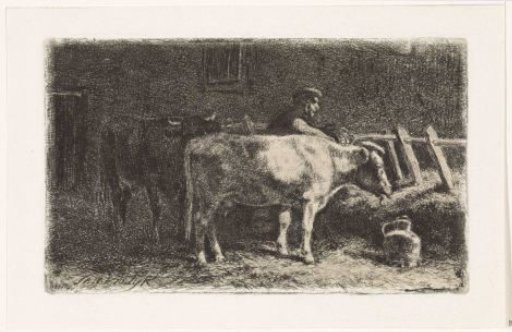 Farmer between two cows at a trough in a stable (large version)