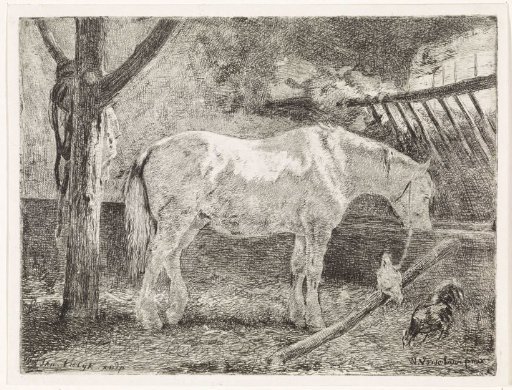 Horse in a stable
