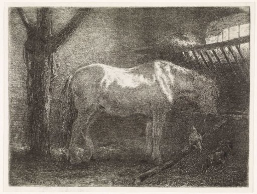 Horse in a stable