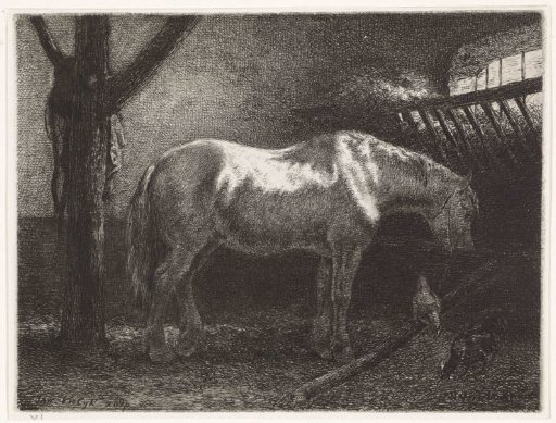 Horse in a stable