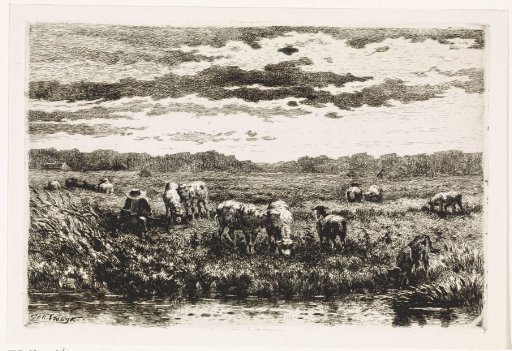Landscape with sheep