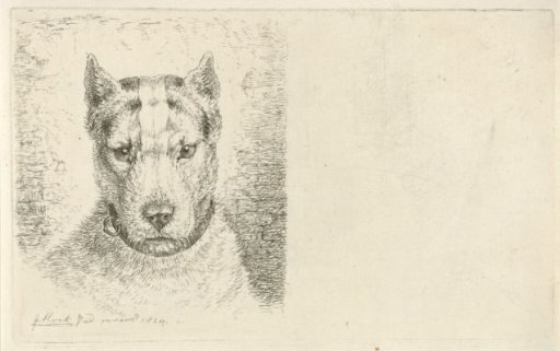 Dog's head with collar