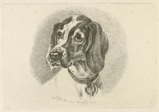 Dog's head with a collar with ring