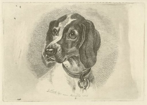 Dog's head with a collar with ring
