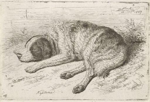 Sleeping dog to the left