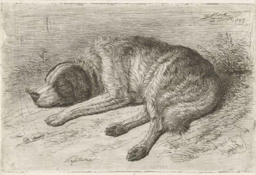Sleeping dog to the left
