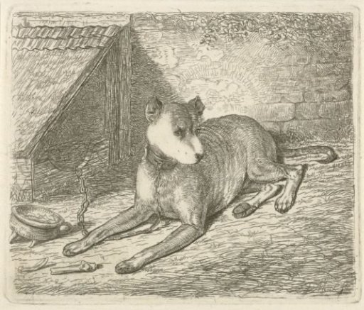 Dog on a chain by a doghouse