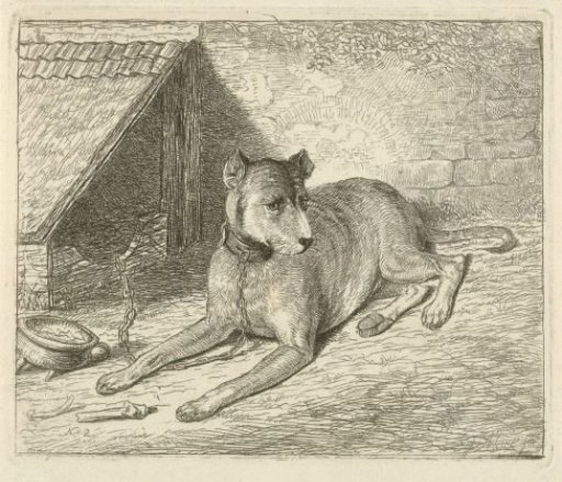 Dog on a chain by a doghouse