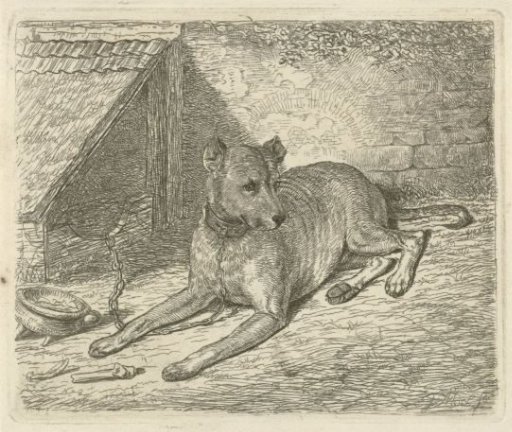 Dog on a chain by a doghouse