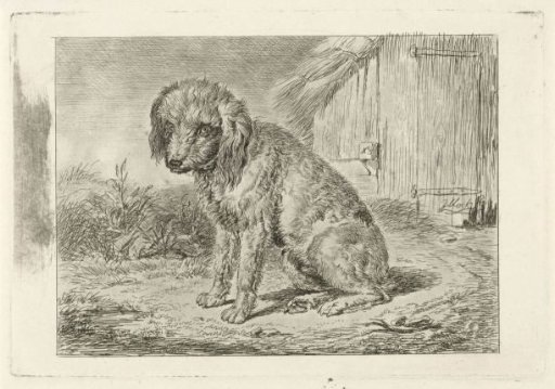Sitting dog by a barn