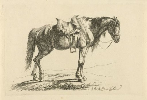 Saddled horse to the right