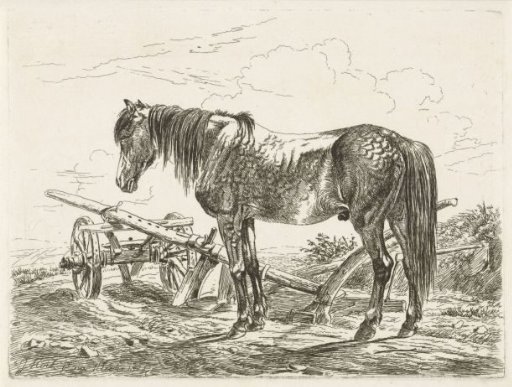 Horse by a plough
