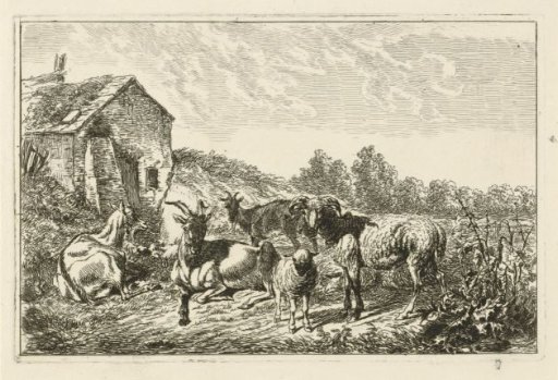 Four goats and a sheep by a house