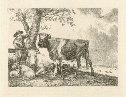 Bull and farmer