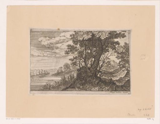 Landscape with a tree between a river and a road