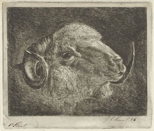 Head of a ram with horns turned backwards