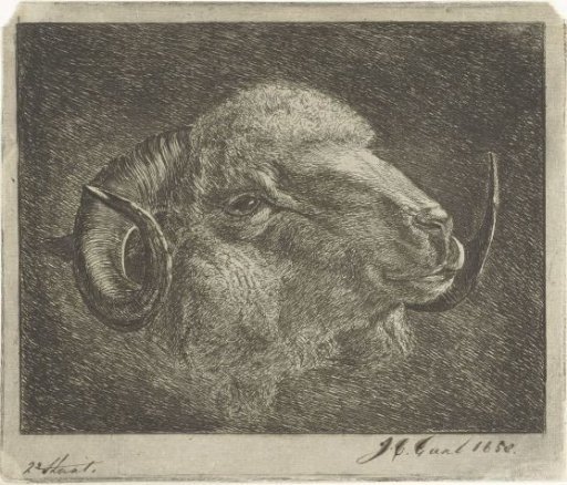 Head of a ram with horns turned backwards