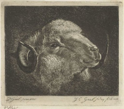 Head of a ram with horns turned backwards