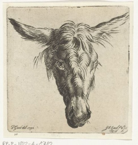 Head of a donkey