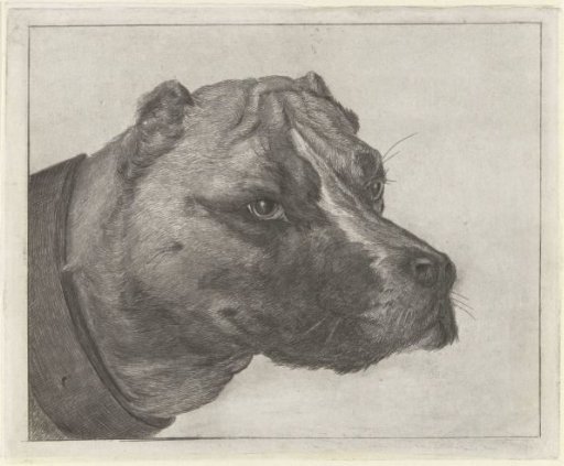 Dog's head with collar