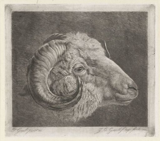 Head of a ram with horn curved towards the eye