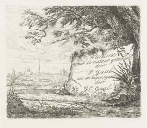 Title page for: Studies from Nature drawn