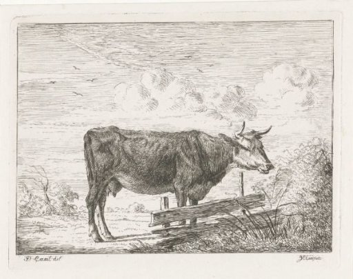 Cow, standing by a fence