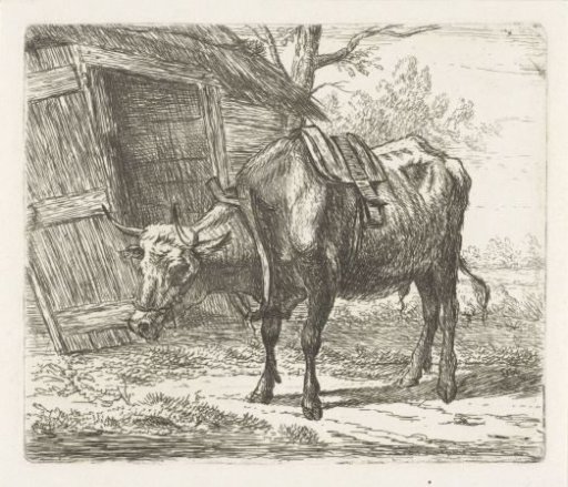 Ox with yoke before the stable