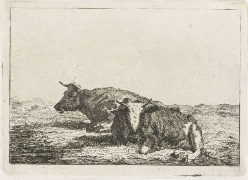 Two cows lying in a meadow