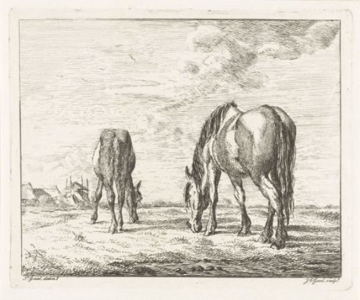 Two grazing horses