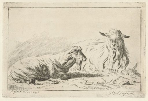 Two lying goats