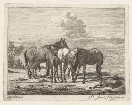 Four horses and two foals