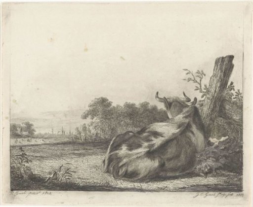 Piebald cow, lying by a wooden post