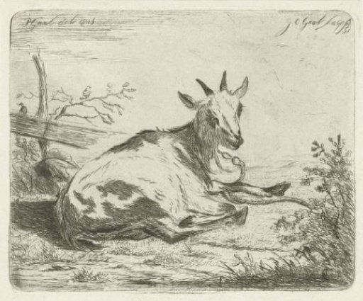 Recumbent goat, facing right