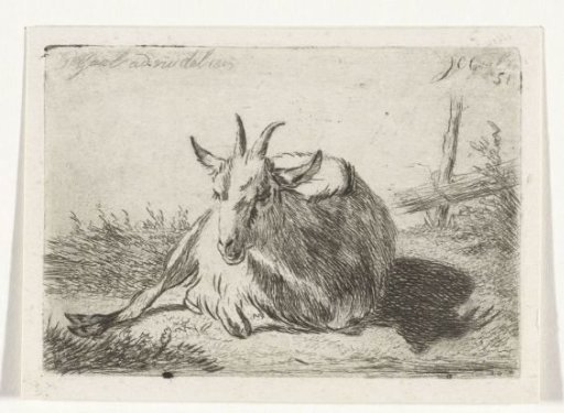 Recumbent goat, facing left