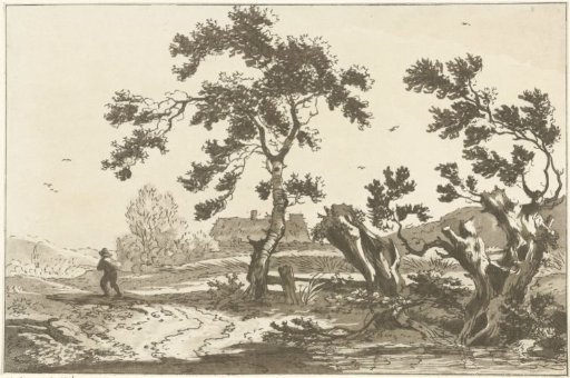Trees along a road