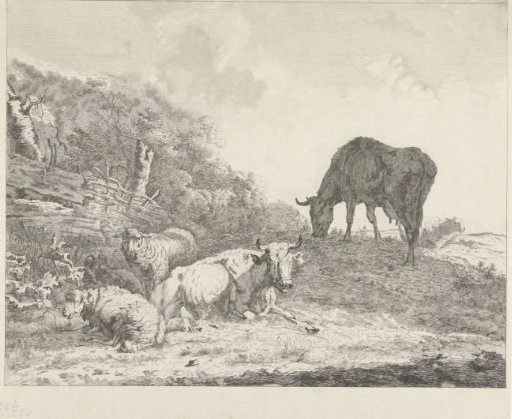 Landscape with cattle