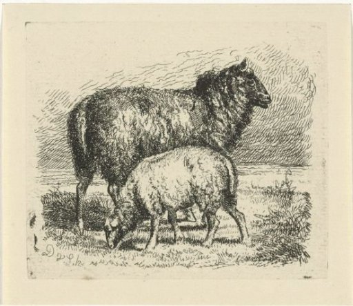 Black Sheep with Lamb