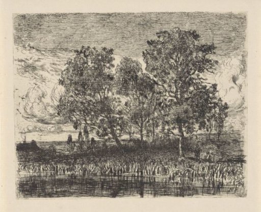 Three Trees on a Bank