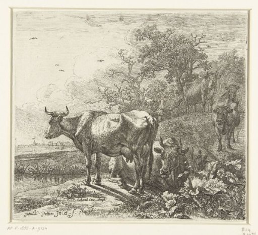 The cattle herder