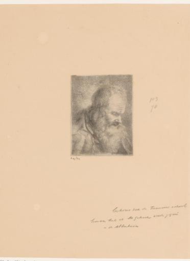Bust of an Old Man with Beard