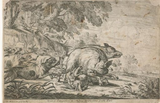 Wild Boar Hunt