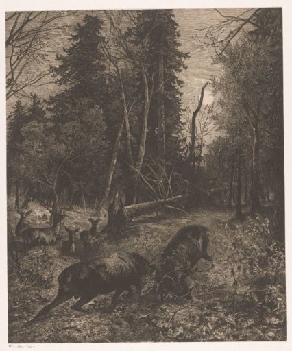 Forest view with two fighting stags