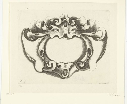 Wide cartouche