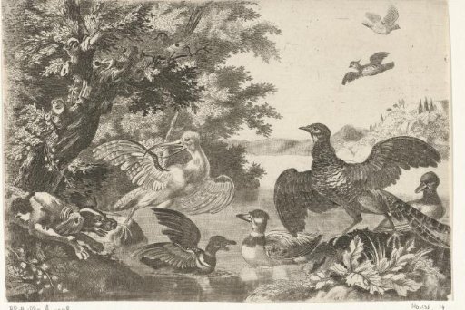 Waterfowl and a dog