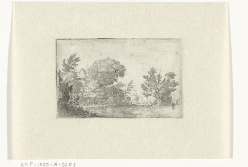 Landscape with a dead tree and a man