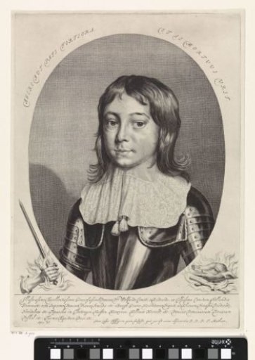 Portrait of Wolfert van Brederode