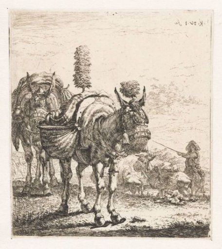 Two mules
